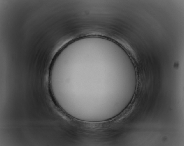 X0000101990790200807180823