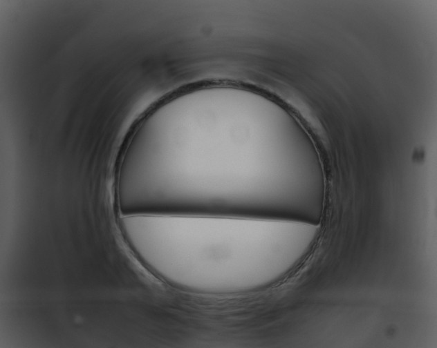 X0000101990791200807180823