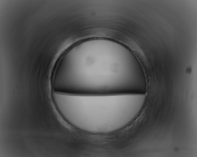 X0000101990792200807180823