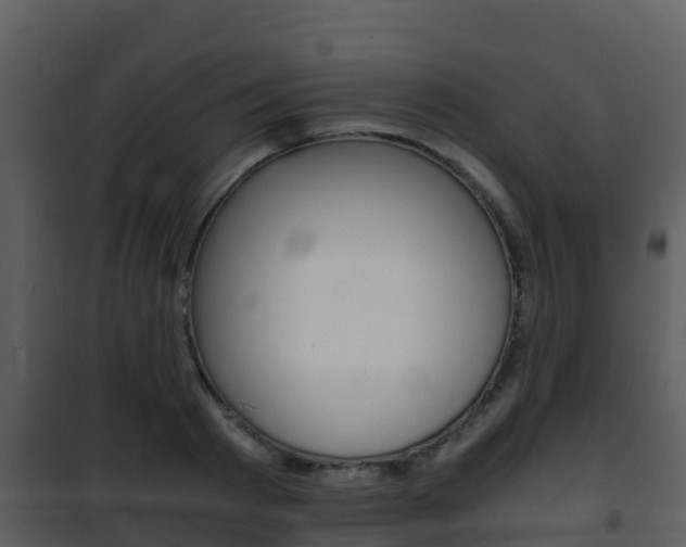 X0000101990793200807180823
