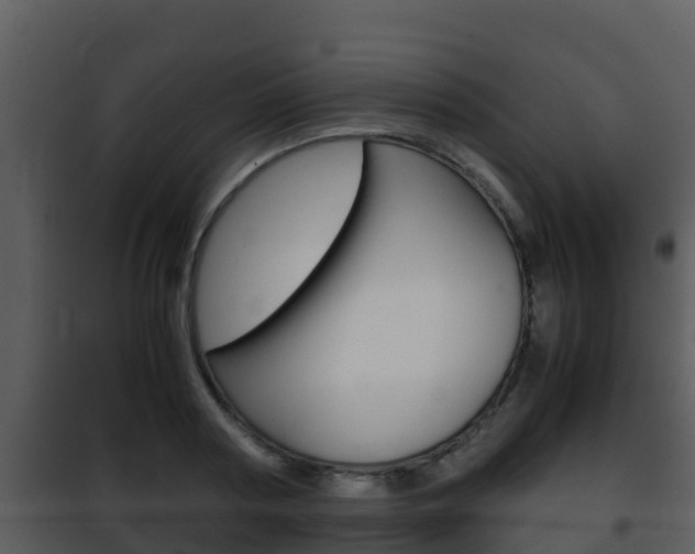 X0000101990794200807180823