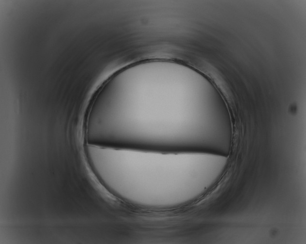 X0000101990795200807180823