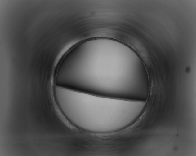 X0000101990796200807180823
