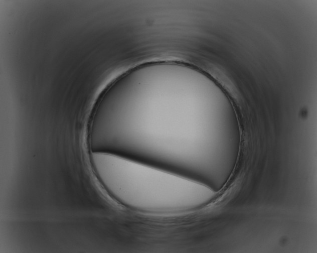 X0000101990797200807180823