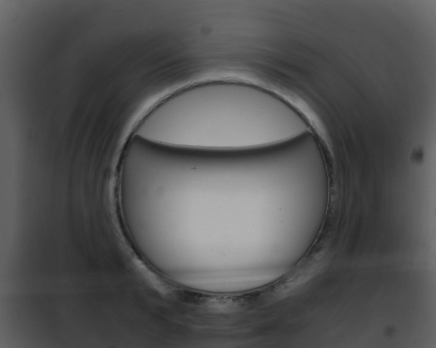X0000101990799200807180823