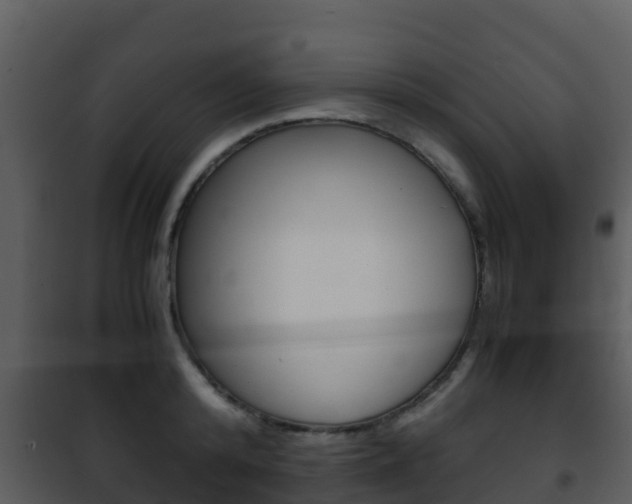 X0000101990800200807180823