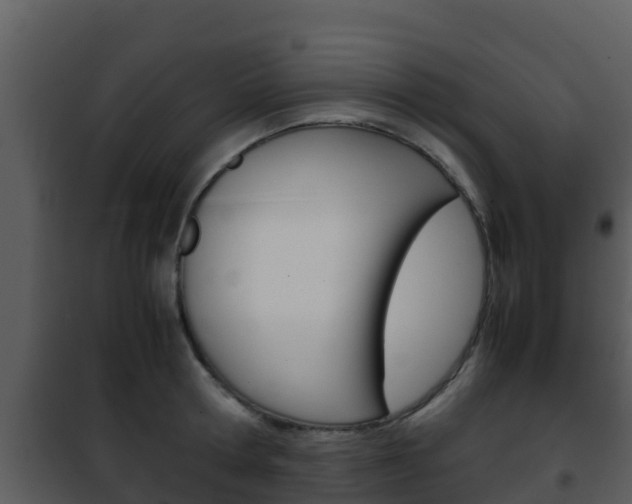 X0000101990802200807180823