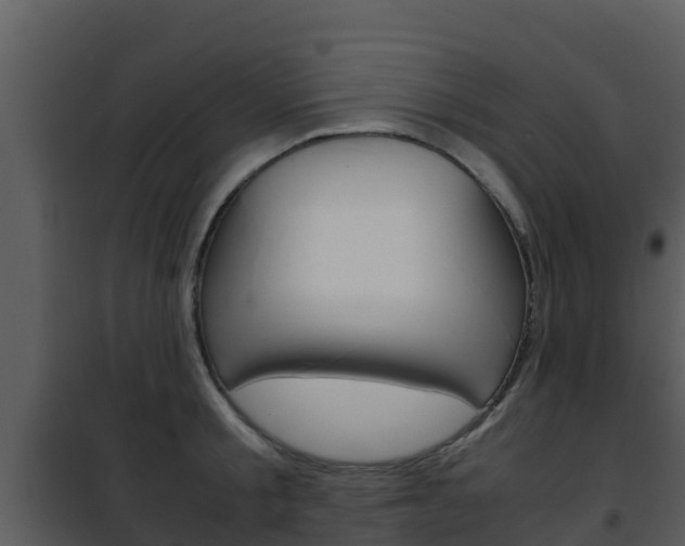 X0000101990805200807180823