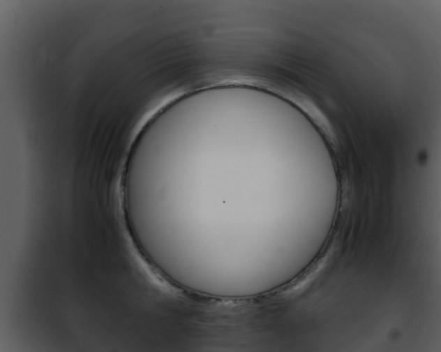 X0000101990806200807180823