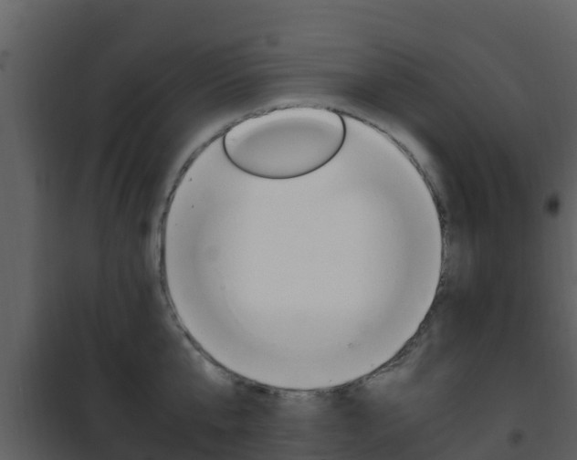 X0000101990807200807180823