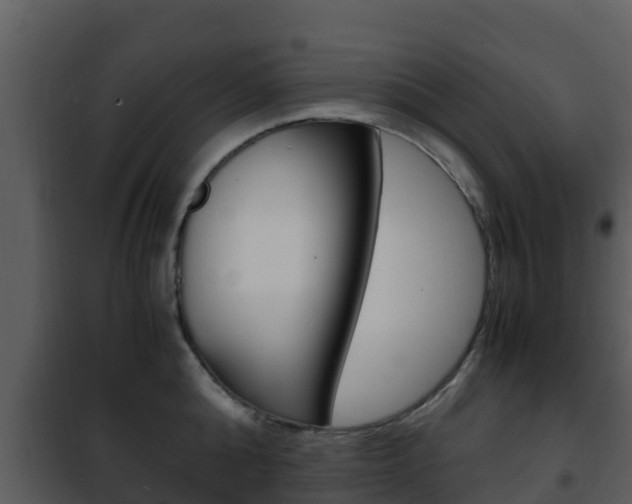 X0000101990808200807180823