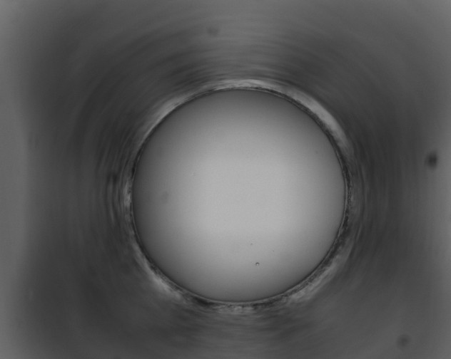 X0000101990809200807180823