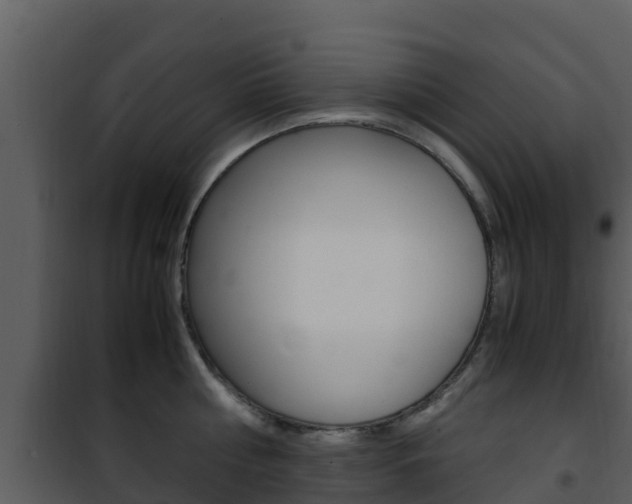 X0000101990810200807180823