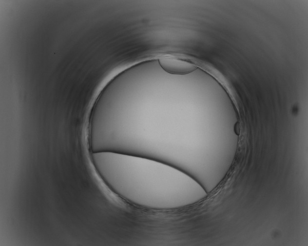 X0000101990811200807180823