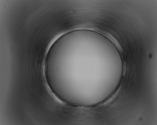 X0000101990812200807180823