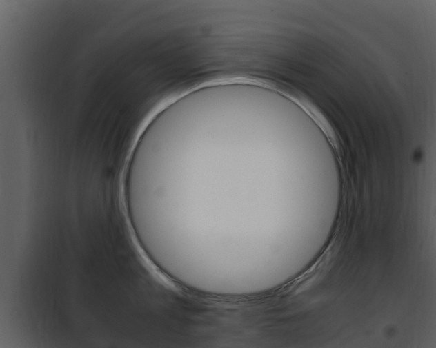 X0000101990813200807180823