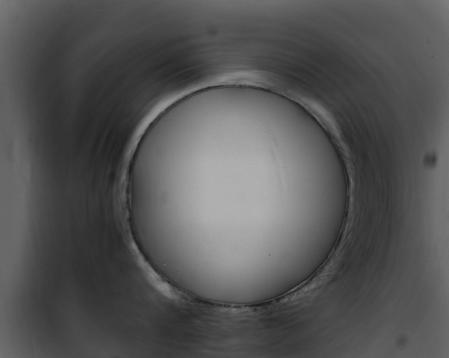 X0000101990816200807180823