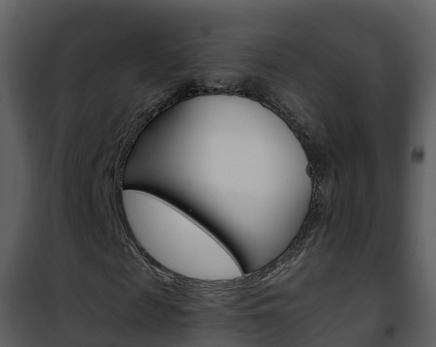 X0000101990817200807180822