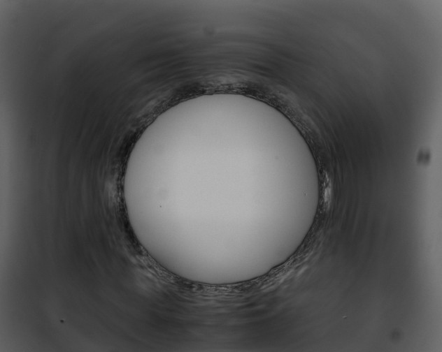 X0000101990819200807180822