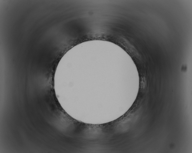 X0000101990820200807180822