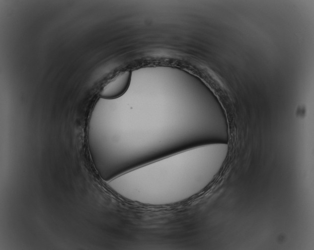 X0000101990821200807180822