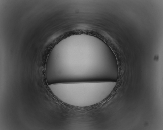 X0000101990822200807180822