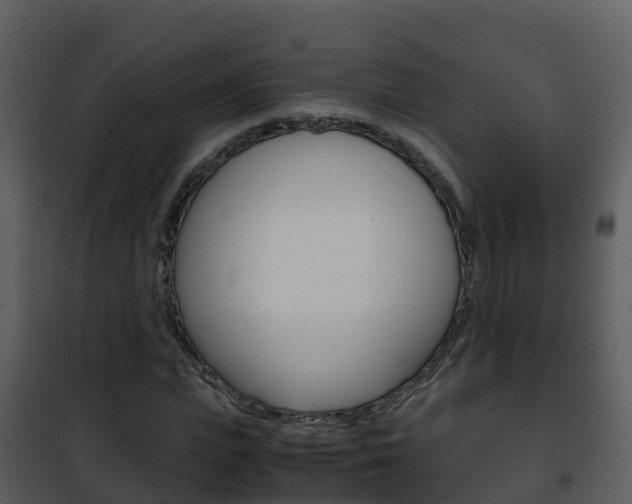 X0000101990823200807180822
