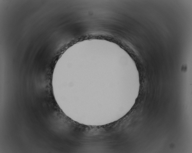 X0000101990824200807180822