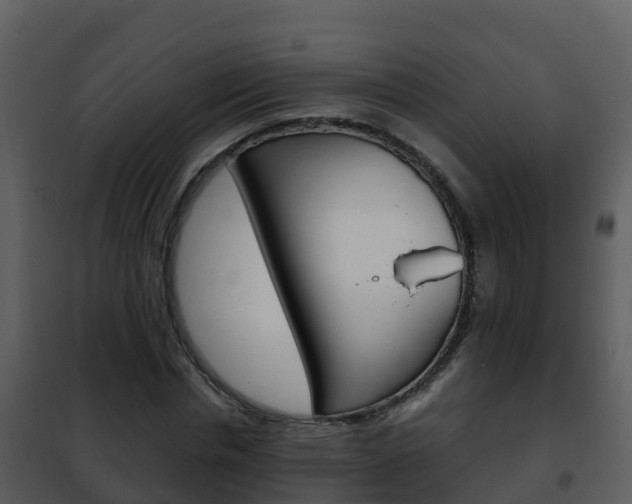 X0000101990826200807180822
