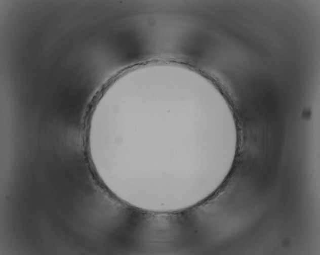 X0000101990828200807180822