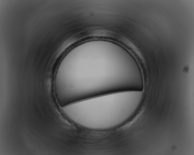 X0000101990829200807180822