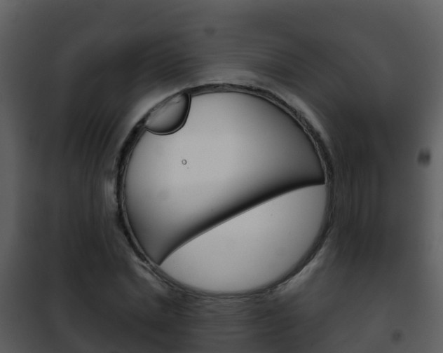 X0000101990830200807180822