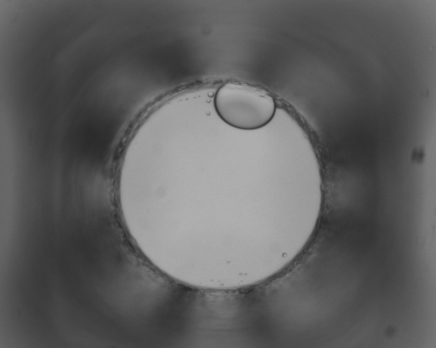 X0000101990832200807180822