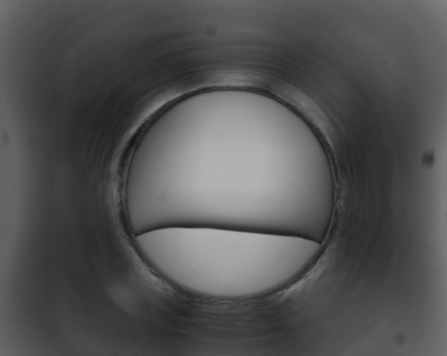 X0000101990835200807180823
