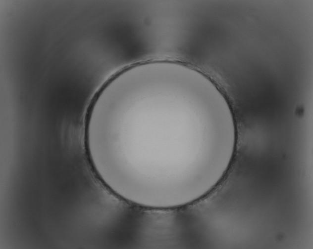 X0000101990836200807180823