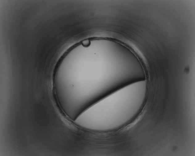 X0000101990837200807180823