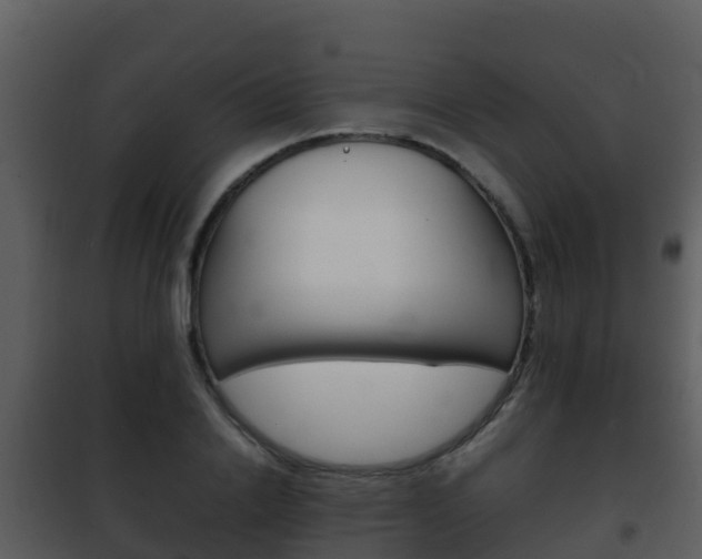 X0000101990838200807180823