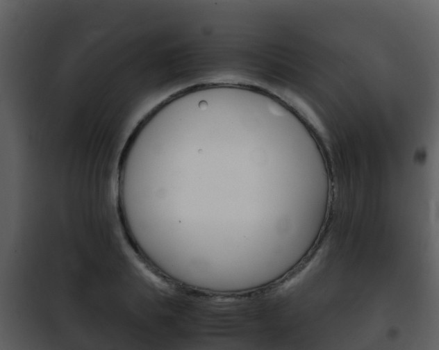 X0000101990839200807180823