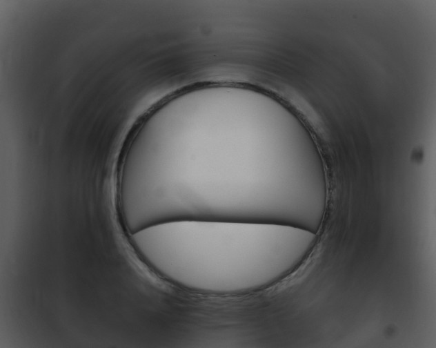 X0000101990840200807180823