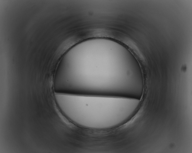 X0000101990841200807180823