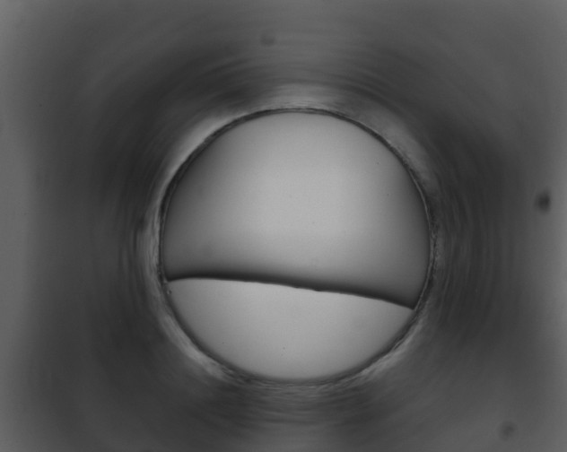 X0000101990844200807180823