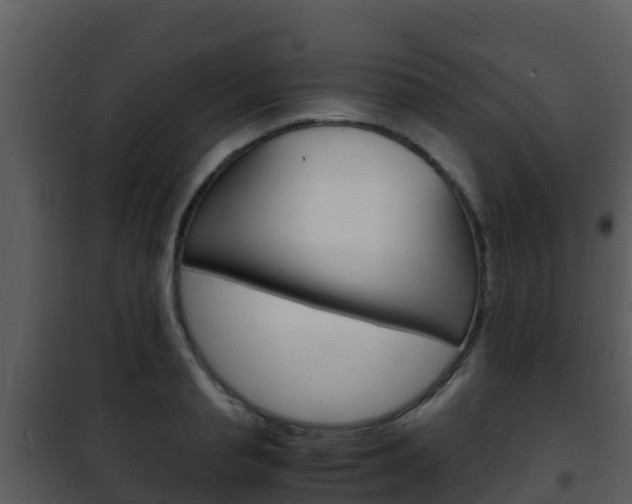 X0000101990845200807180823