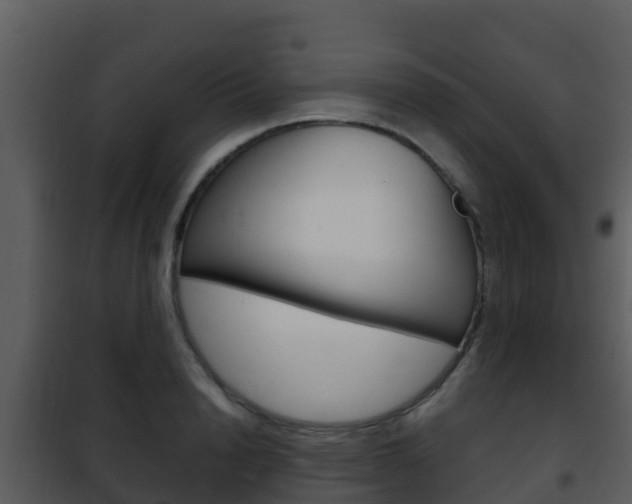 X0000101990846200807180823