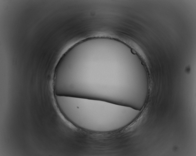 X0000101990847200807180823