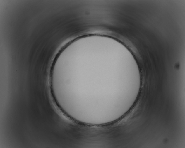 X0000101990848200807180823