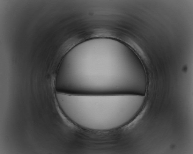 X0000101990849200807180823