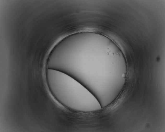 X0000101990851200807180823
