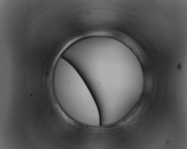 X0000101990852200807180823