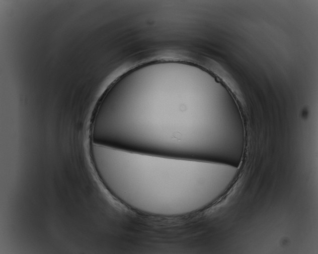 X0000101990853200807180823
