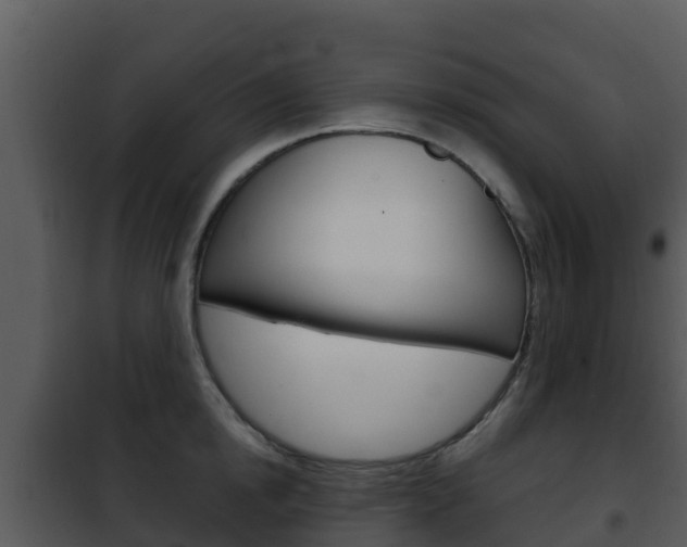 X0000101990854200807180823